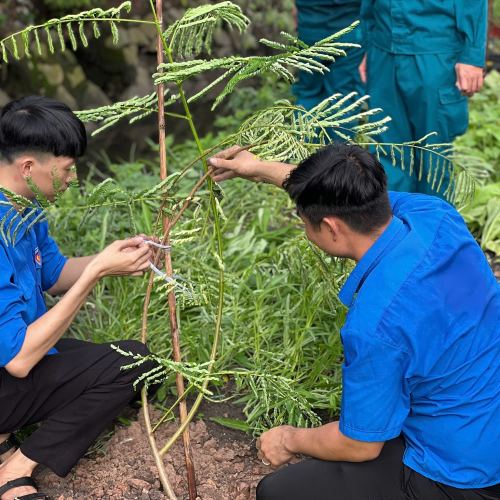 Tuổi trẻ Phú Hòa Đông ra quân trồng cây bảo vệ môi trường tại ấp 12 và 12A