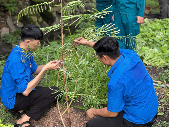 Tuổi trẻ Phú Hòa Đông ra quân trồng cây bảo vệ môi trường tại ấp 12 và 12A