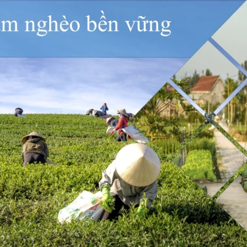 HÀNH TRÌNH GIẢM NGHÈO BỀN VỮNG CỦA VIỆT NAM TRONG GIAI ĐOẠN MỚI