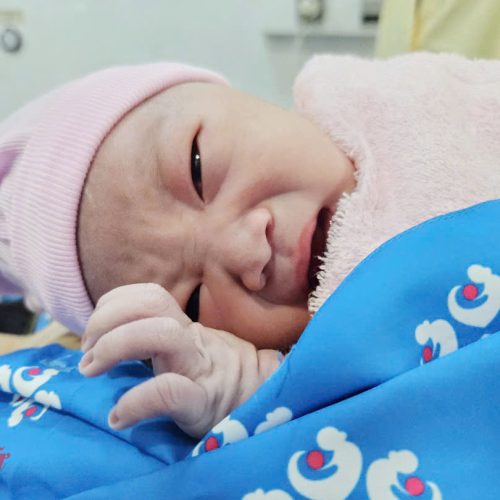 6 nhiệm vụ trọng tâm của công tác dân số TPHCM năm 2026